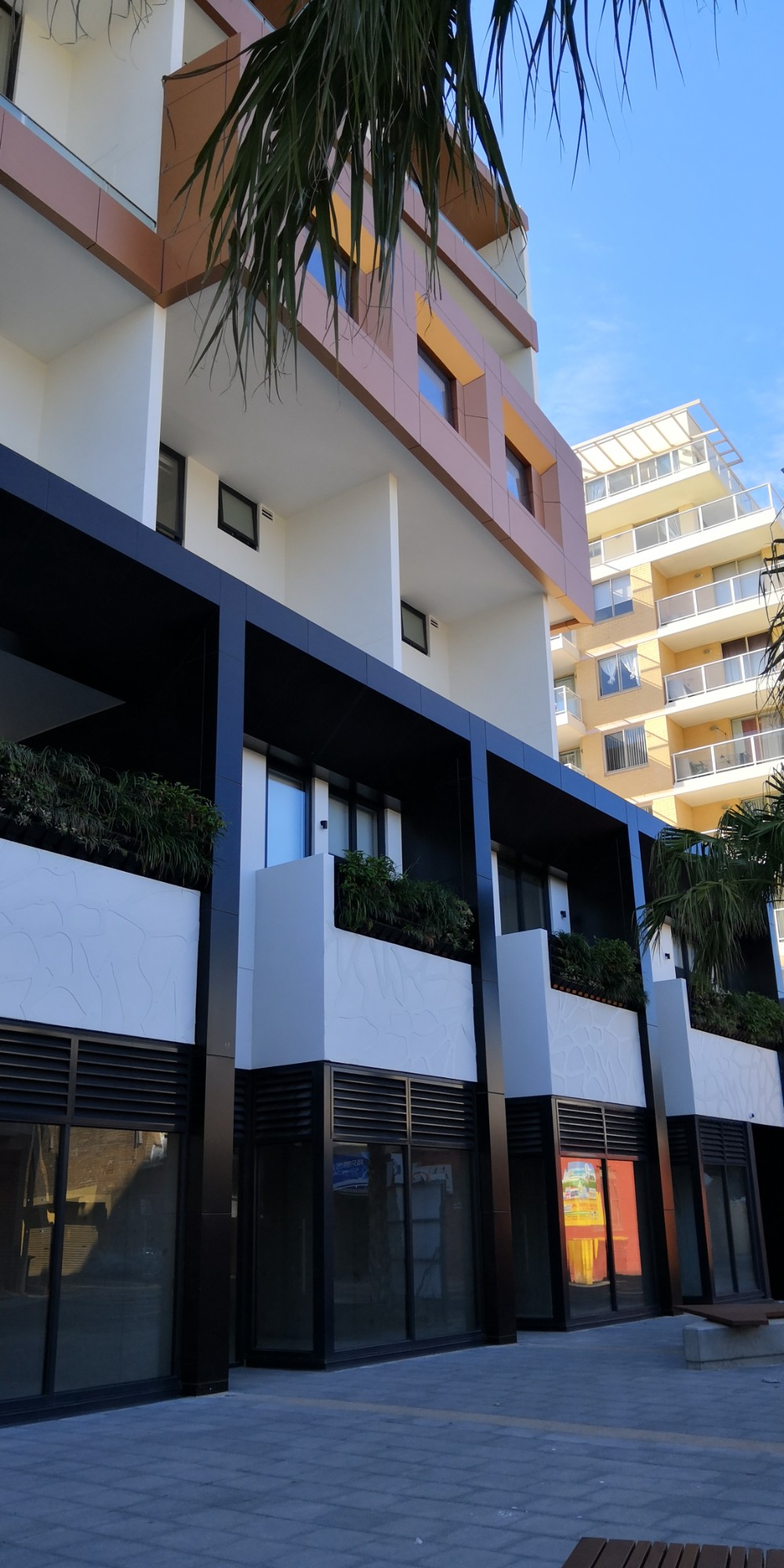 Ashfield Apartment NSW