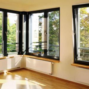 Some Details You Need To Know About Aluminum Windows